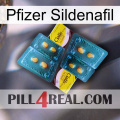 Pfizer Sildenafil cialis5